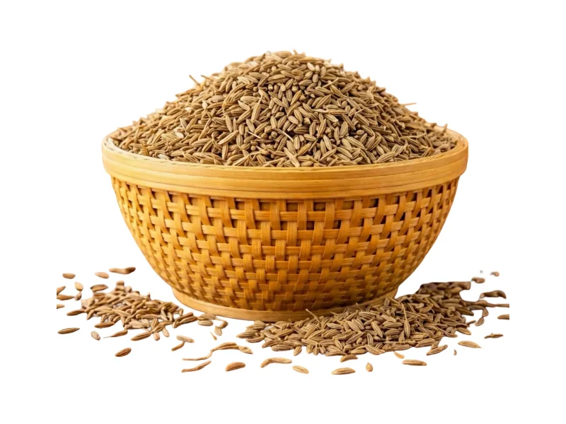 Cumin Seeds Exports